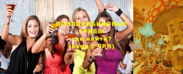 трава Абаза